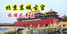 肏小美女屄屄视频中国北京-东城古宫旅游风景区
